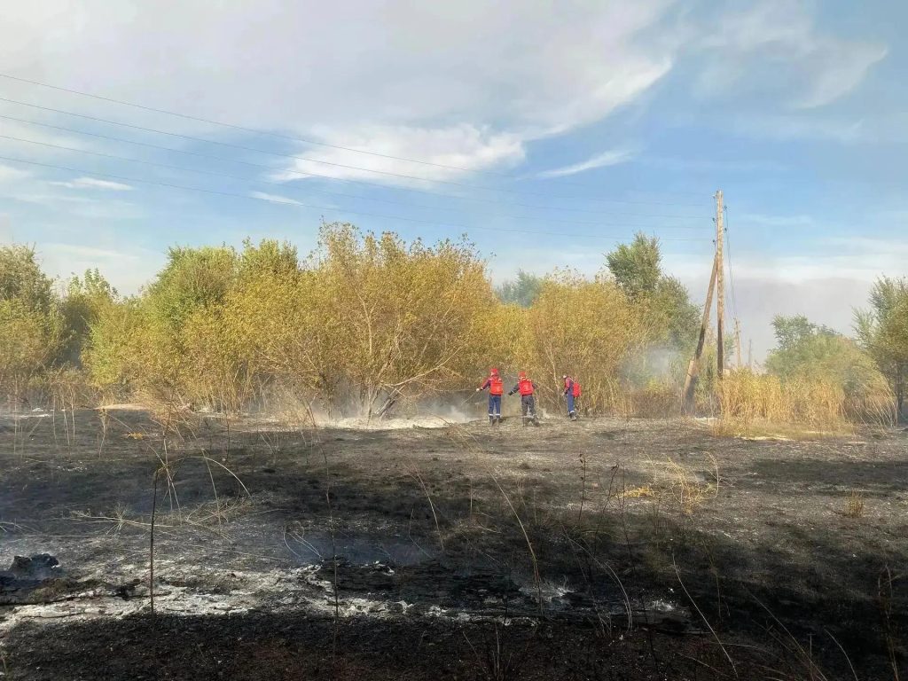 В Оренбуржье студенты помогают тушить ландшафтные пожары