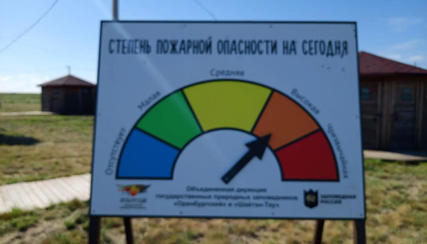 В заповеднике &laquo;Оренбургский&raquo; выгорел участок &laquo;Буртинская степь&raquo;